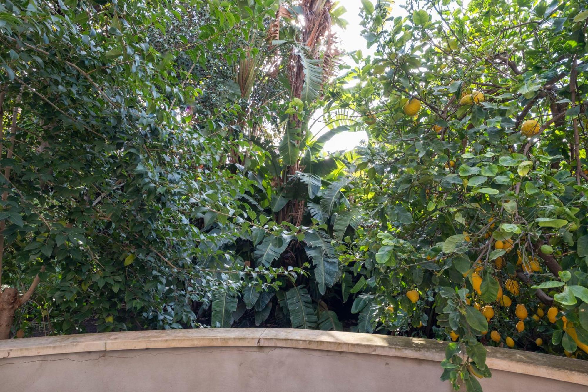 La Corte Dei Nespoli أتشيريالي المظهر الخارجي الصورة